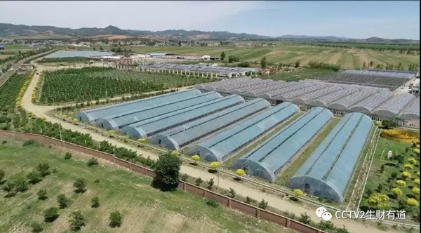 黑山因为这仨宝贝，登上央视《生财有道》