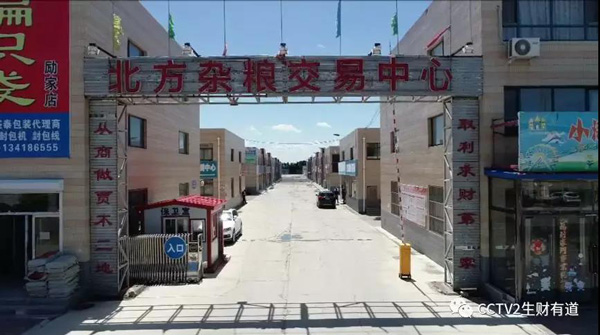 黑山因为这仨宝贝，登上央视《生财有道》