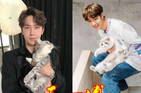 爱豆“抱猫”有多撩？肖战温柔，王一博无奈，看到图4：咱也不差