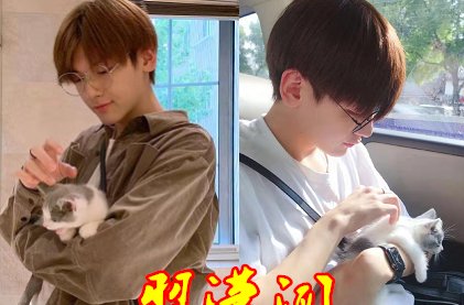 爱豆“抱猫”有多撩？肖战温柔，王一博无奈，看到图4：咱也不差