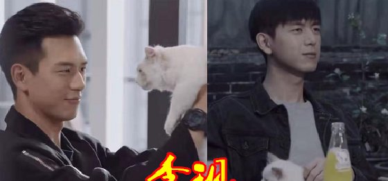 爱豆“抱猫”有多撩？肖战温柔，王一博无奈，看到图4：咱也不差