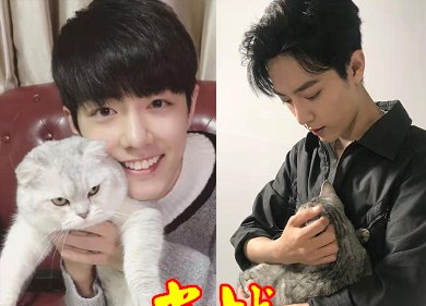 爱豆“抱猫”有多撩？肖战温柔，王一博无奈，看到图4：咱也不差