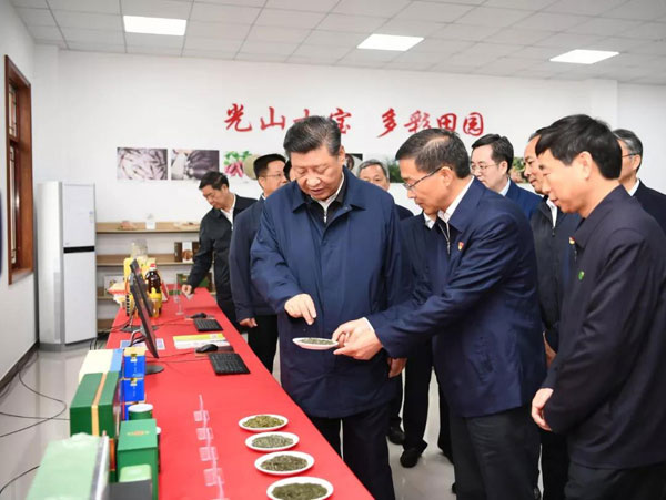 习近平在光山县深入油茶园和农村考察调研