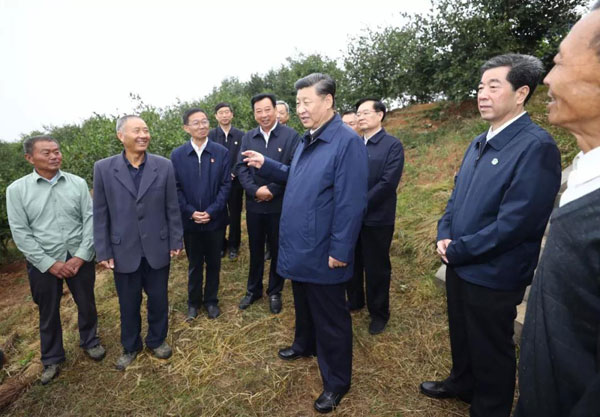 习近平在光山县深入油茶园和农村考察调研