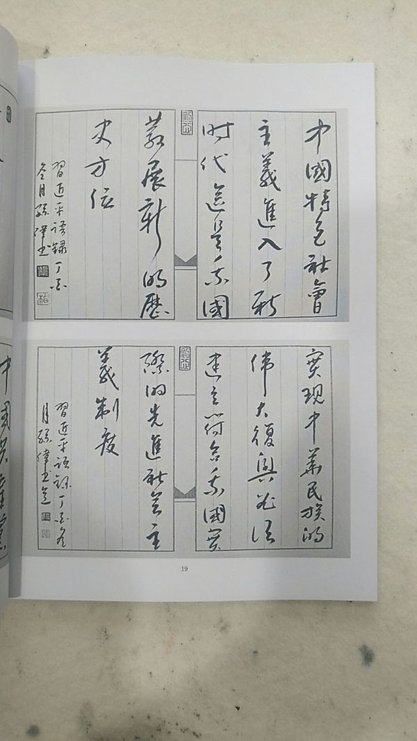 孙伟新作《习近平语录一百句》出版献礼新中国70华诞