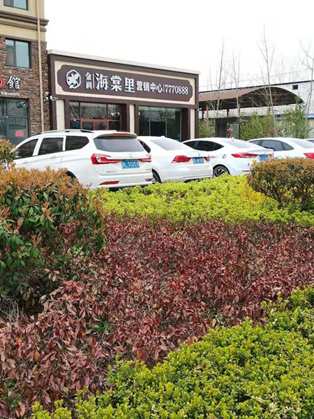 山东莒县金润海棠里开发项目手续不全售楼谁来管