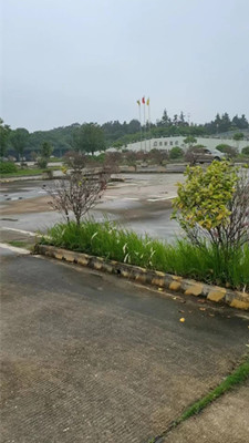 岳阳县有关部门对驾校用地无管理，交通部门开绿灯