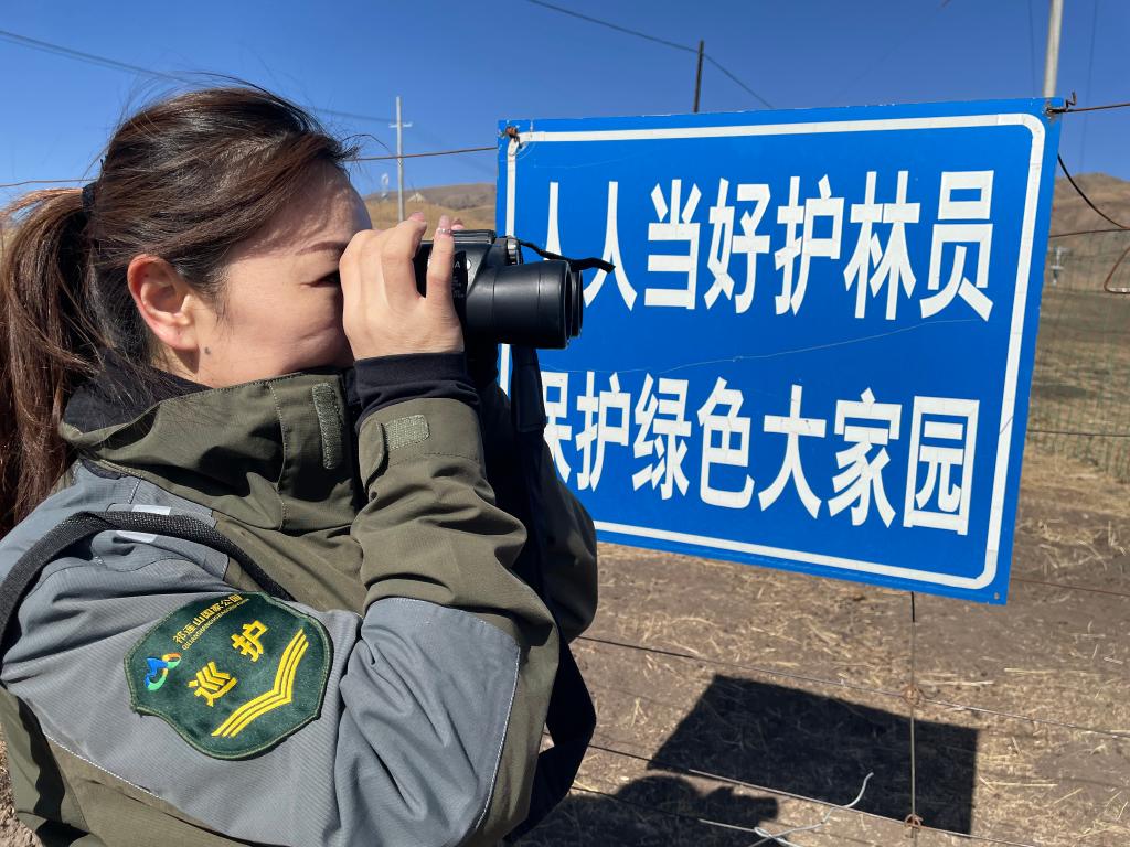 国家公园建设为青海高原生物多样性保护提供更多契机