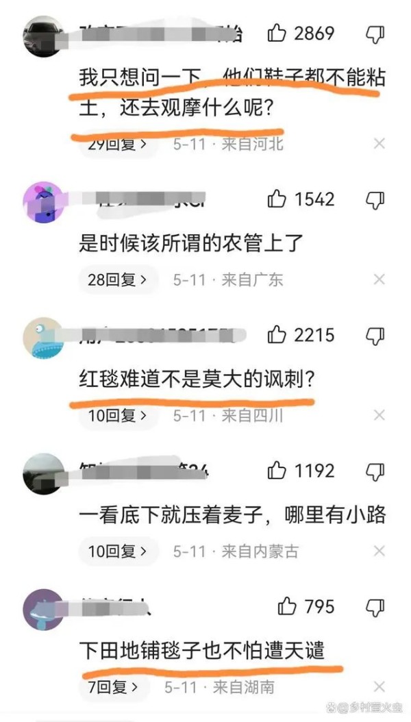 【无语】领导来视察，麦田铺红毯！