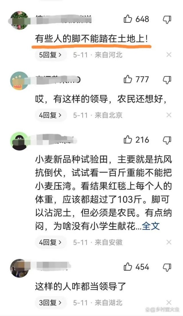 【无语】领导来视察，麦田铺红毯！