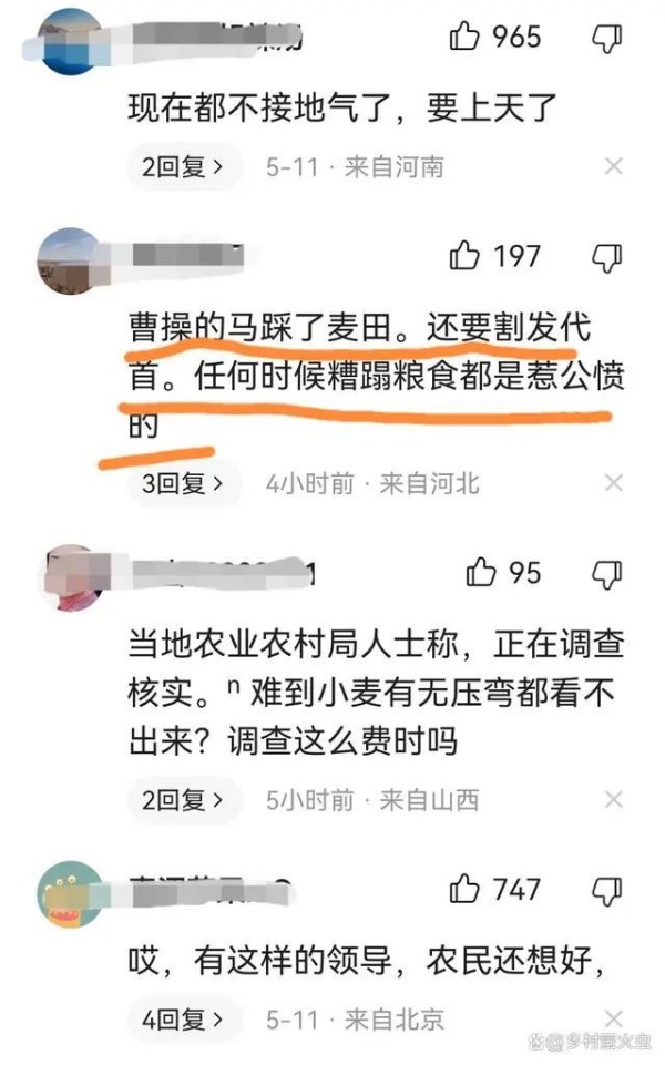 【无语】领导来视察，麦田铺红毯！