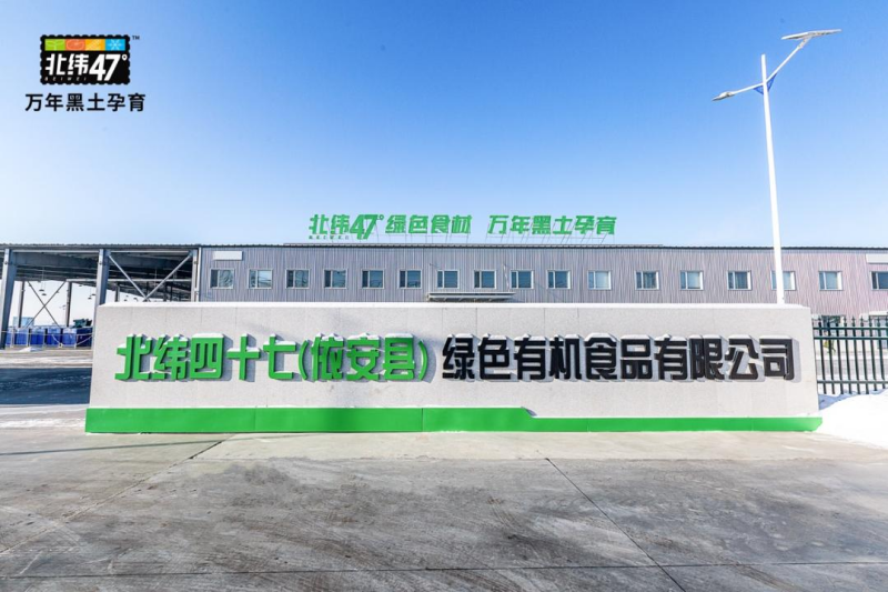 从一穗玉米，看黑土地上的兴农故事——北纬47°春耕纪实