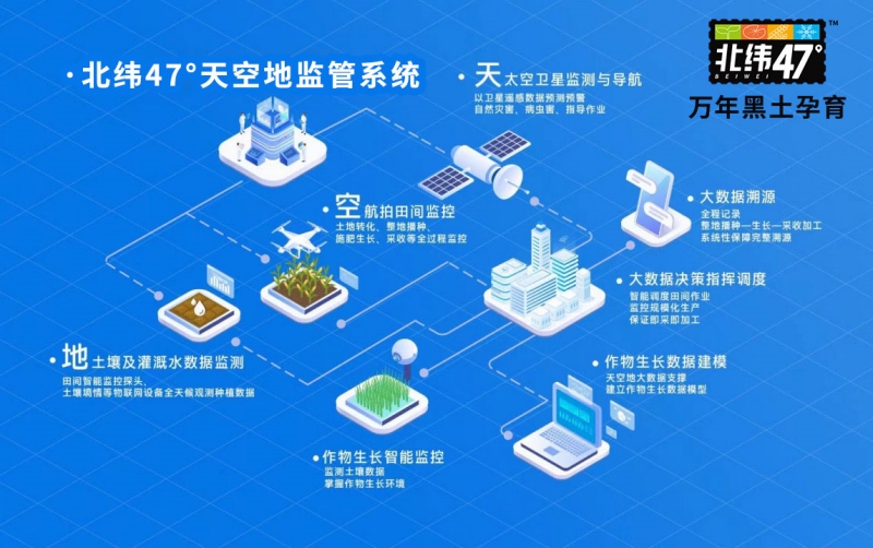 从一穗玉米，看黑土地上的兴农故事——北纬47°春耕纪实