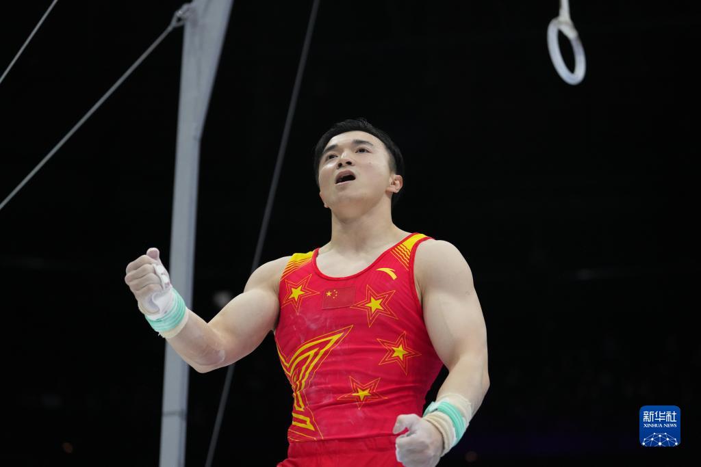 体操——安特卫普世锦赛：中国选手刘洋夺得男子吊环冠军