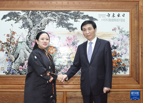 王沪宁会见印尼国会议长布安