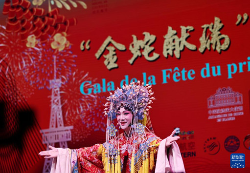 “金蛇献瑞”巴黎春节联欢晚会精彩上演