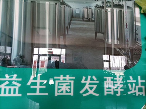 青岛益品优选总经理张立强栖霞行：益生菌助力农业与健康