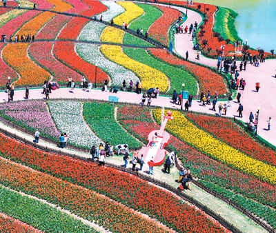 赏花游带动文旅新消费