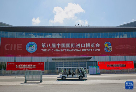 “四叶草”绽新颜 静待第八届进博会