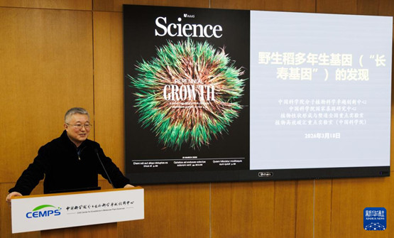 我国科学家发现野生稻“长寿基因”